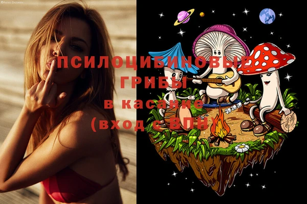 таблы Алзамай