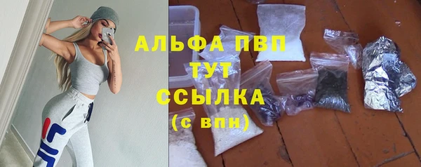 спиды Армянск