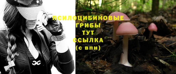 спиды Армянск