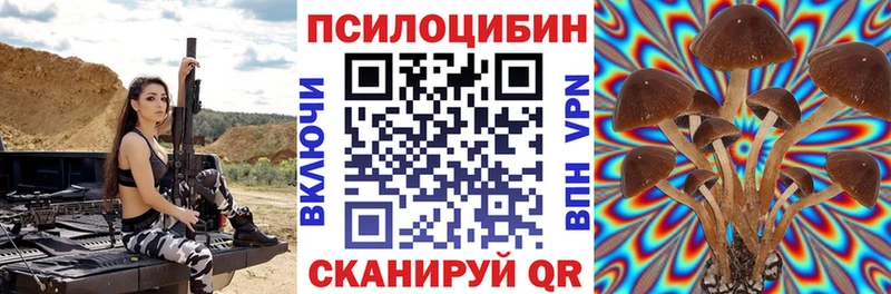 Псилоцибиновые грибы Magic Shrooms  Аркадак 